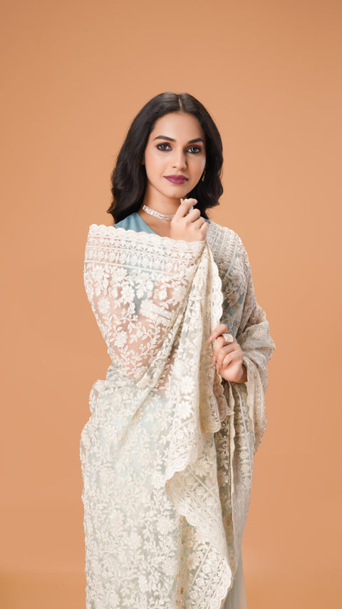 Graceful Lucknowi Net Saree Adorned with Sparkling Stones ( not in excel sheet ) in drive only