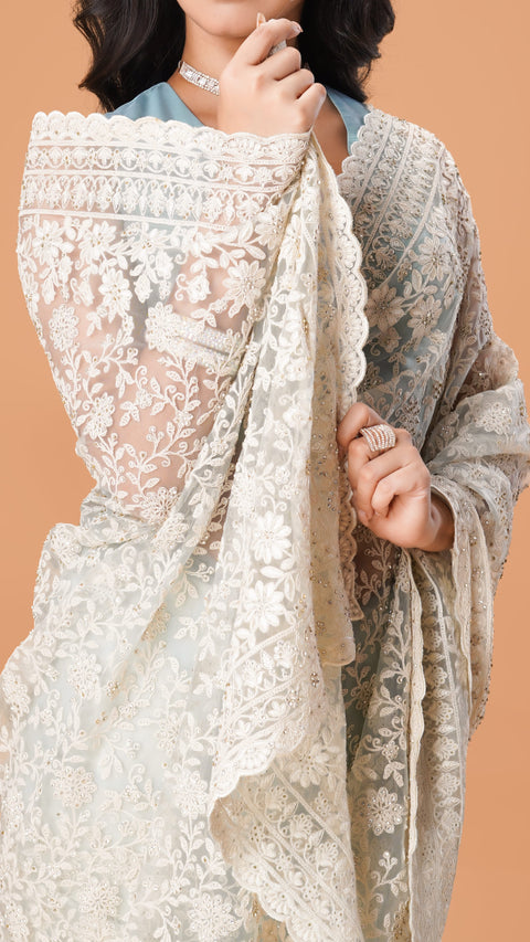 Graceful Lucknowi Net Saree Adorned with Sparkling Stones ( not in excel sheet ) in drive only