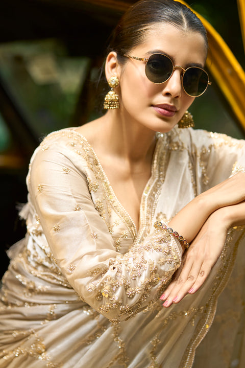 Regal Shine Chiku Saree