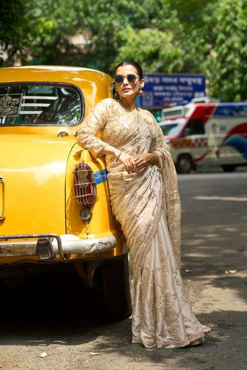 Regal Shine Chiku Saree