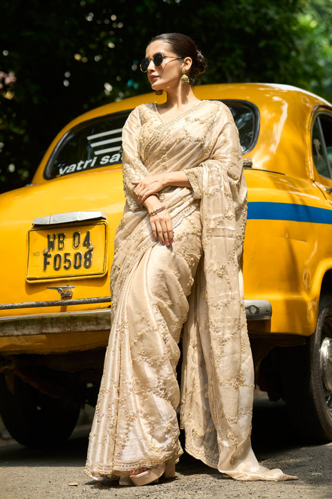 Regal Shine Chiku Saree