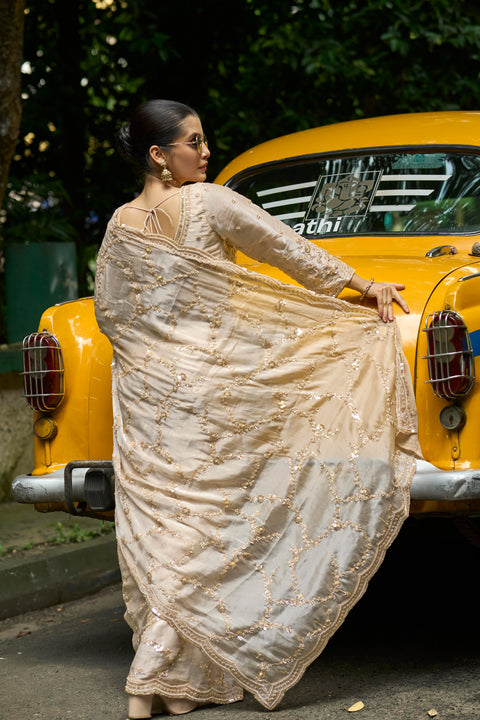 Regal Shine Chiku Saree