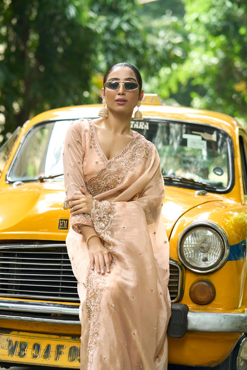 Heritage Chiku Saree