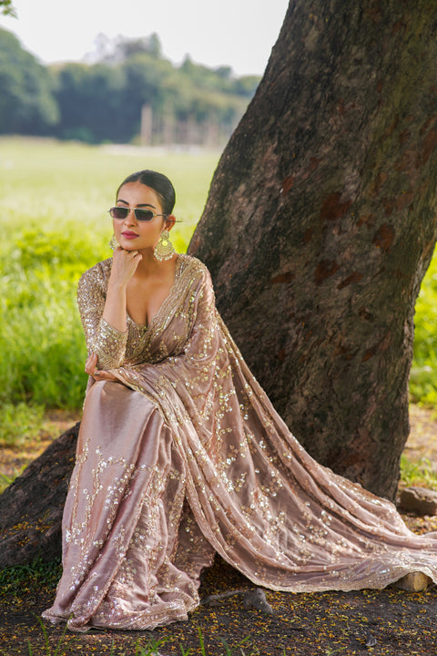 Copper Brown Breeze with BEADS TISSUE ORGENZA SAREE