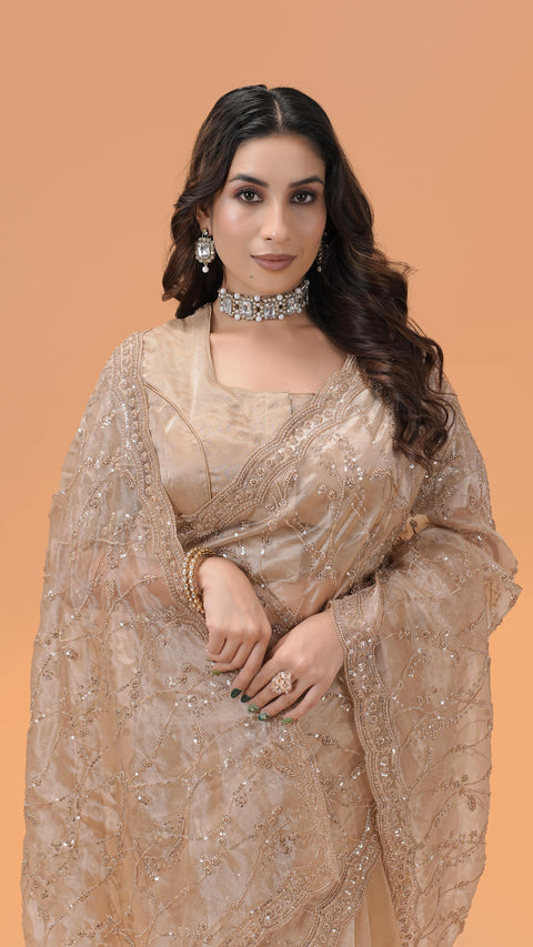Elegant Tissue Organza Saree With Stunning Sequin Work