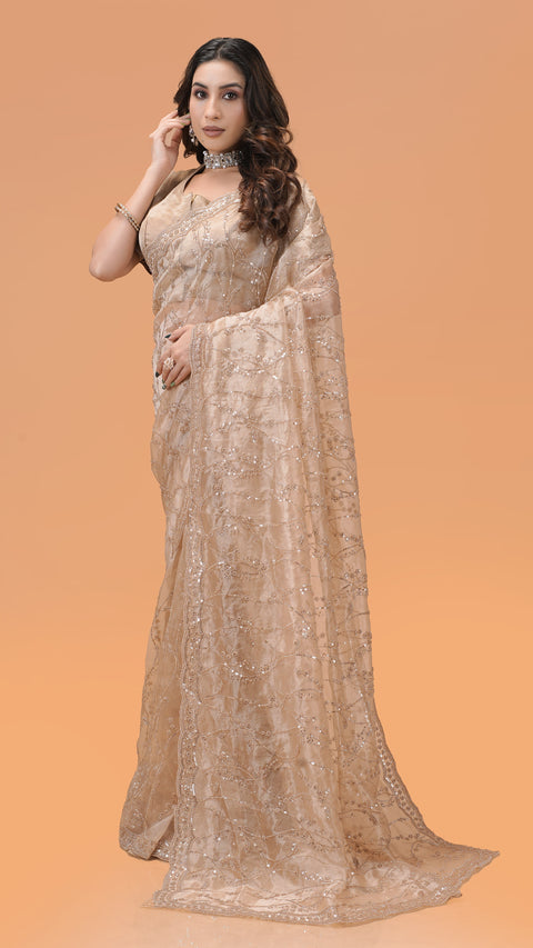 Elegant Tissue Organza Saree With Stunning Sequin Work