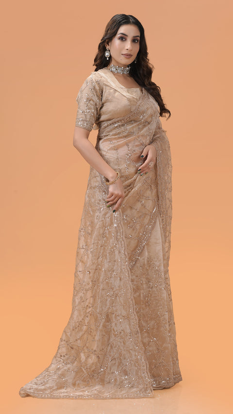 Elegant Tissue Organza Saree With Stunning Sequin Work